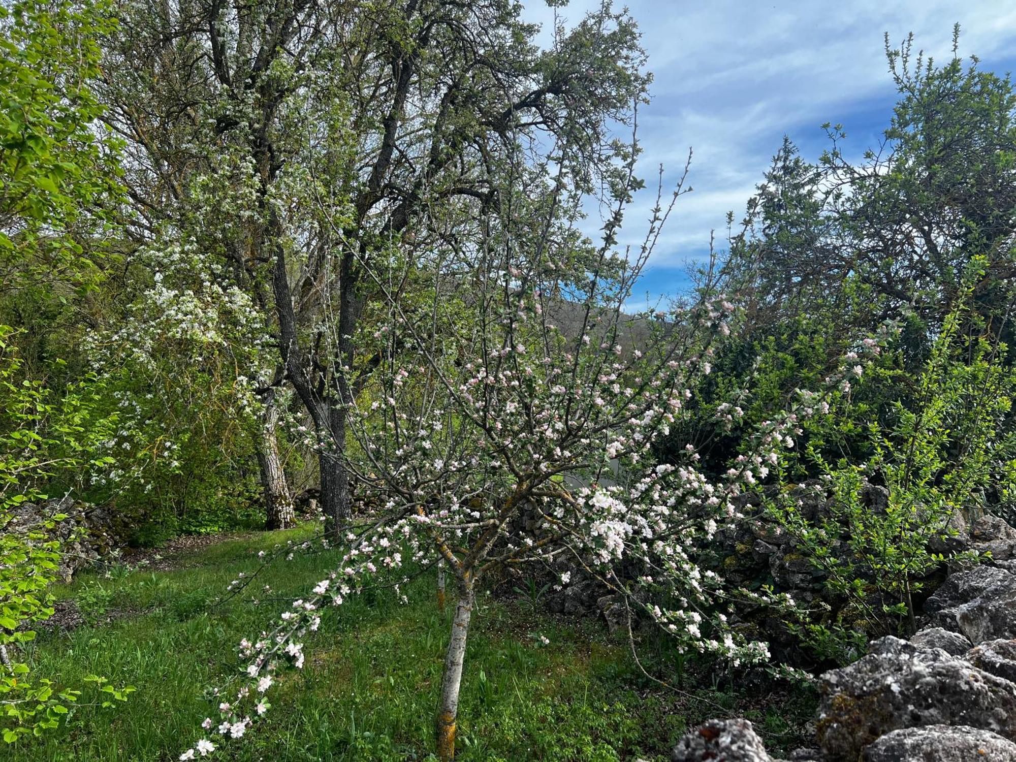 El Pecu Casa Rural Starfamiliar Bustillo Del Paramo Esterno foto